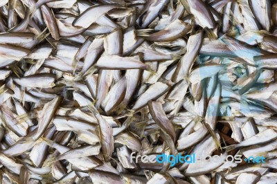 Dried Fish Stock Photo