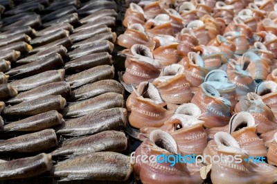 Dried Fish With The Sunlight In Thailand Stock Photo