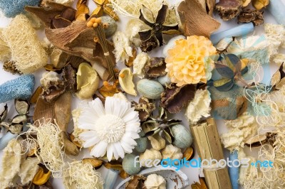 Dried Flowers Stock Photo