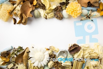 Dried Flowers Frame Stock Photo