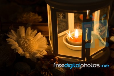 Dried Flowers With Lamp Stock Photo