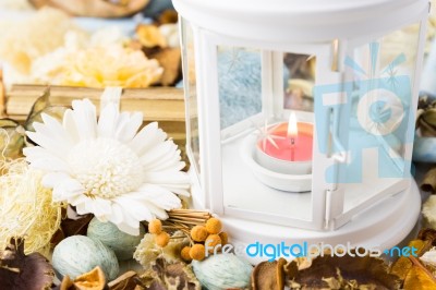 Dried Flowers With Lamp And Candle Stock Photo