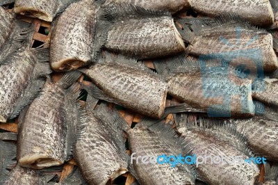 Dried Gourami Stock Photo