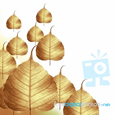 Dried Leaf Skeleton Background Stock Photo