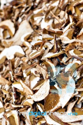 Dried Mushrooms Stock Photo