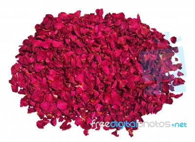 Dried Red Roses Stock Photo