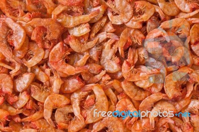 Dried Shrimp Stock Photo