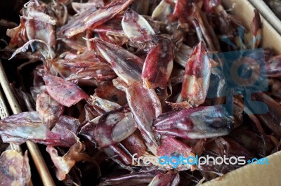 Dried Squid Stock Photo