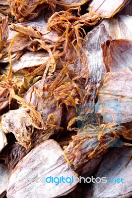 Dried Squid Stock Photo