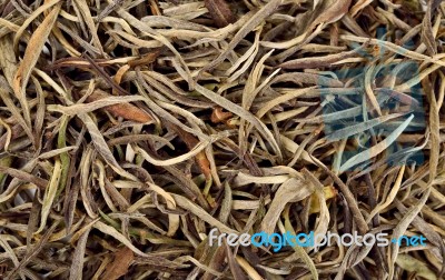 Dried White Tea Leaf For Background Texture Stock Photo