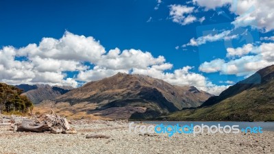 Driftwood On The Shore Of Lake Wanaka Stock Photo