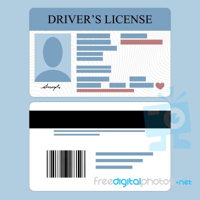 Drivers License Stock Image