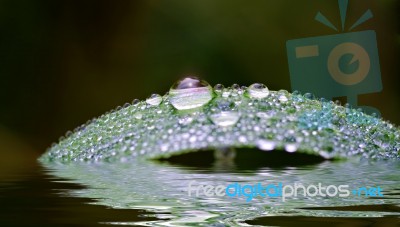 Drop And Droplets Stock Photo