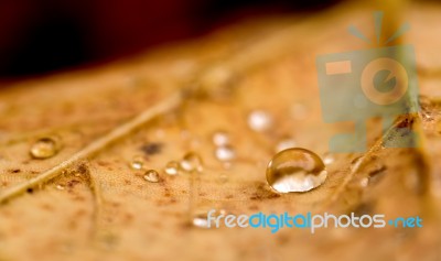 Drop And Droplets Stock Photo