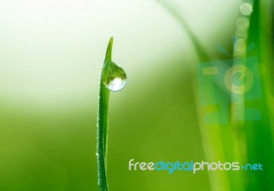 Drop Of Water Stock Photo