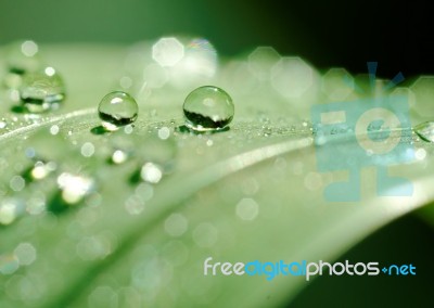 Drops And Droplets Stock Photo