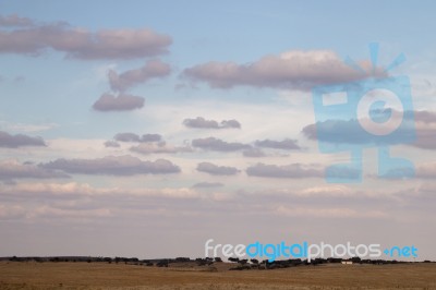 Dry Arid Landscape Stock Photo