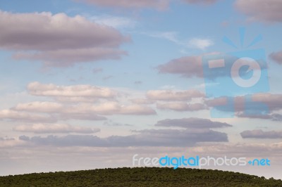 Dry Arid Landscape Stock Photo