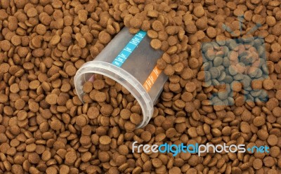 Dry Brown Pet Food (dog Or Cat) With Measure Glass Stock Photo