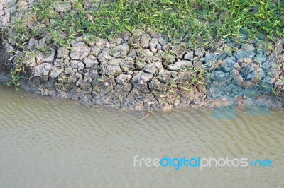 Dry Cracked Stock Photo