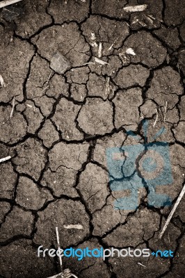 Dry Cracked Earth Stock Photo