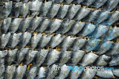 Dry Fish Stock Photo