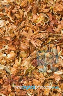 Dry Jasmine Flowers Stock Photo