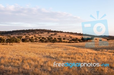 Dry Landscape Of Alentejo Region Stock Photo