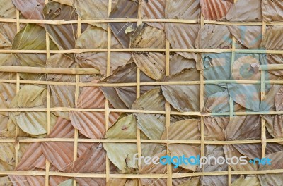 Dry Leaves Background Stock Photo