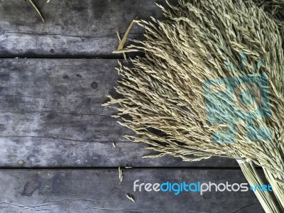 Dry Raw Rice Paddy Beautifully Tie With Brown Rope On Old Wood S… Stock Photo