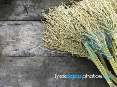 Dry Raw Rice Paddy Beautifully Tie With Brown Rope On Right Side… Stock Photo