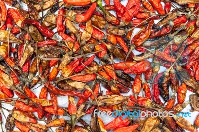 Dry Red Chili Stock Photo