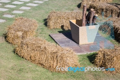 Dry Rice Straw In The Garden Stock Photo