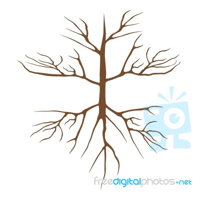 Dry Tree Stock Image