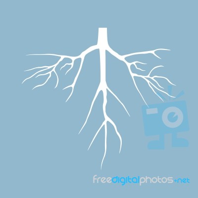 Dry Tree With Root Stock Image