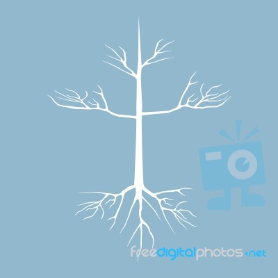 Dry Tree With Root Stock Image