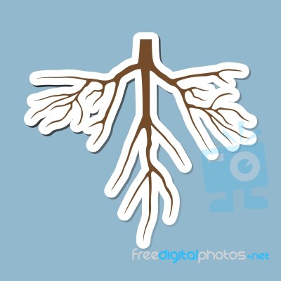 Dry Tree With Root Stock Image