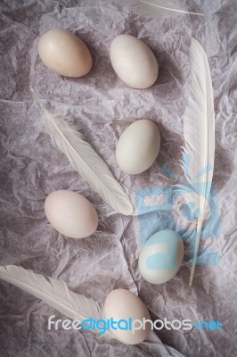 Duck Eggs Flat Lay Still Life With Food Stylish Stock Photo