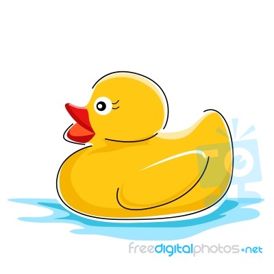 Duck In Water Stock Image