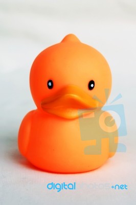 Duck Toy Stock Photo