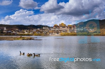 Ducks In The Lake At Zhongshan Lin Temple Stock Photo