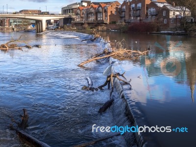 Durham, County Durham/uk - January 19 : Cormorant Standing On A Stock Photo