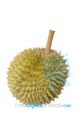 Durian Stock Photo