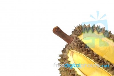 Durian Stock Photo