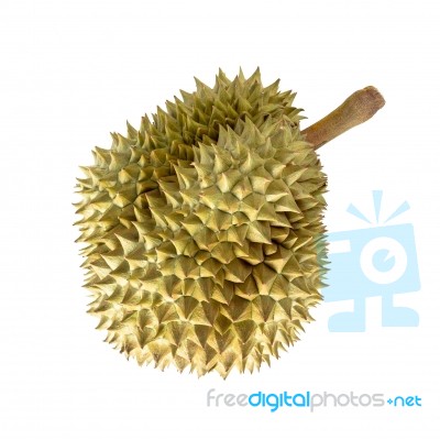 Durian Fruit On White Background Stock Photo