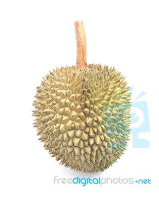 Durian Fruit On White Background Stock Photo