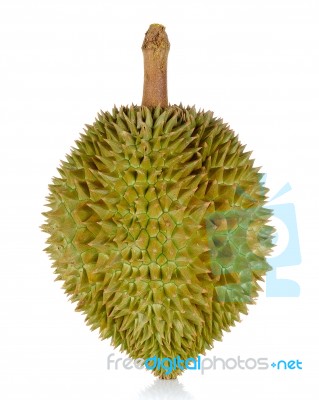 Durian Isolated On The White Background Stock Photo