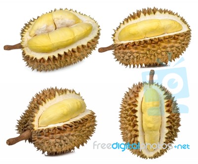 Durian Isolated On The White Background Stock Photo