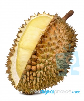 Durian Isolated On The White Background Stock Photo