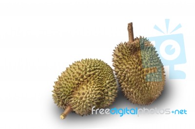 Durian On White Background Stock Photo